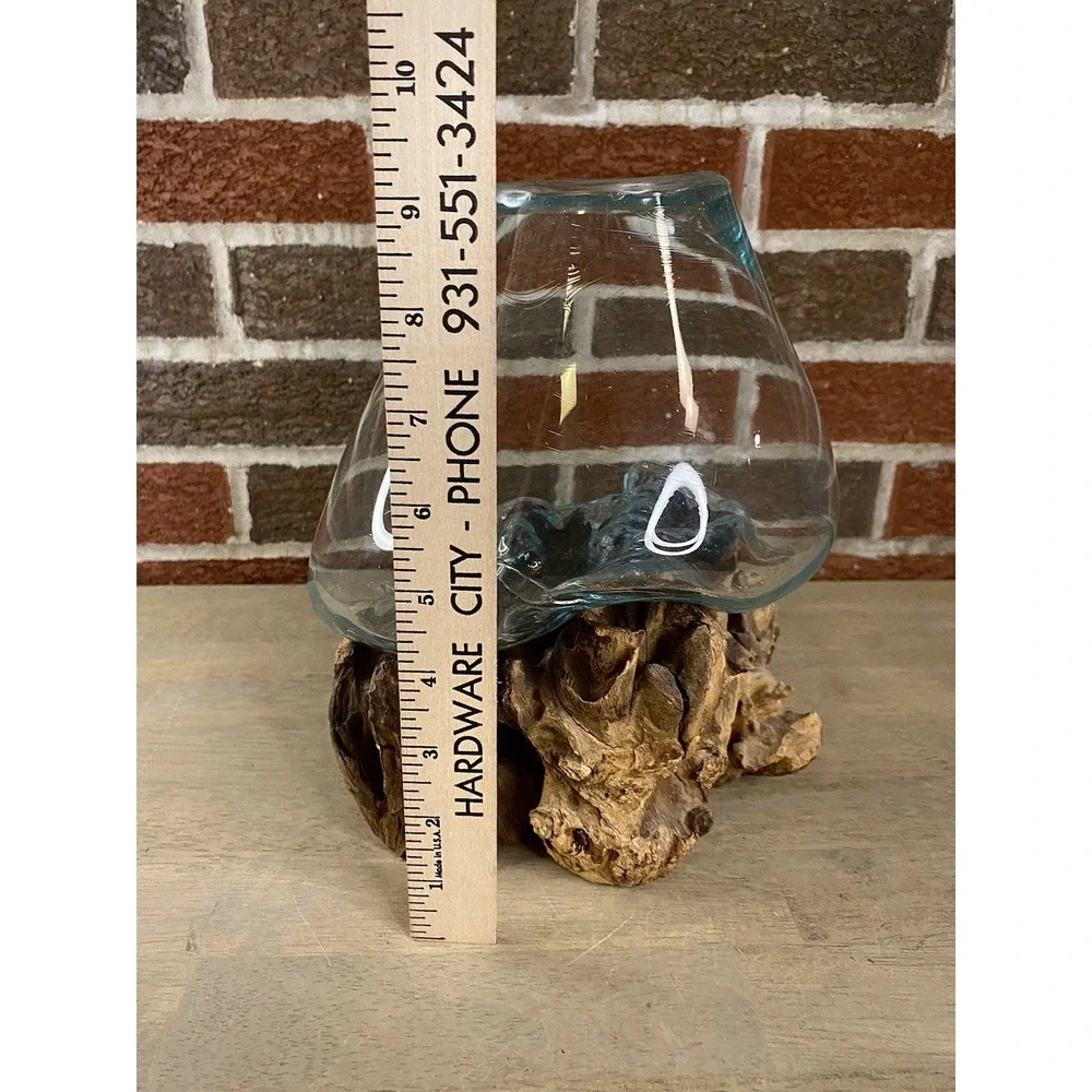 Cohasset Molten Terrarium Vase Glass Vase & Natural Wood Sculpture